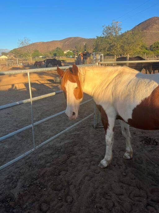Peaceful & Cozy 3 Bedroom Ranch-Home W/Fireplace Hemet Exteriér fotografie